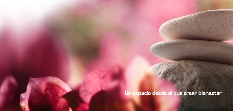 Psicologo Madrid Valladolid Online terapeuta gestalt psicoterapeuta